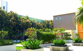 Landscaped Courtyards